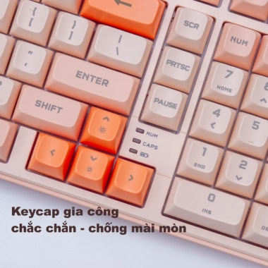Paynan 702Pro - Bàn phím không dây chống ồn, 3 chế độ Cáp/USB2.4G/Bluetooth, RGB, pin 4.000mAh, 500k