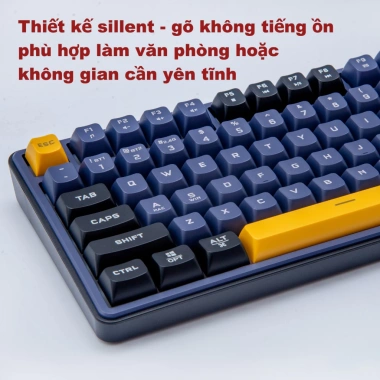 Paynan 702Pro - Bàn phím không dây chống ồn, 3 chế độ Cáp/USB2.4G/Bluetooth, RGB, pin 4.000mAh, 500k