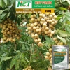 Phân Bón Canxi Bo H2T Farm 200g Tăng Đậu Trái, Chống Rụng Hoa, Ngăn Trái Non, Giá 25.000 2