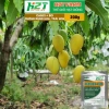 Phân Bón Canxi Bo H2T Farm 200g Tăng Đậu Trái, Chống Rụng Hoa, Ngăn Trái Non, Giá 25.000 5
