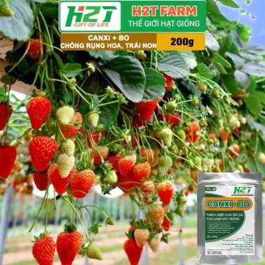 Phân Bón Canxi Bo H2T Farm 200g Tăng Đậu Trái, Chống Rụng Hoa, Ngăn Trái Non, Giá 25.000 6 Phân Bón Canxi Bo H2T Farm 200g Tăng Đậu Trái, Chống Rụng Hoa, Ngăn Trái Non, Giá 25.000 6