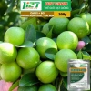 Phân Bón Canxi Bo H2T Farm 200g Tăng Đậu Trái, Chống Rụng Hoa, Ngăn Trái Non, Giá 25.000 7