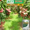Phân Bón Canxi Bo H2T Farm 200g Tăng Đậu Trái, Chống Rụng Hoa, Ngăn Trái Non, Giá 25.000 9
