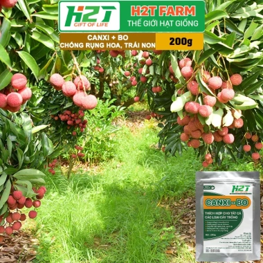 Phân Bón Canxi Bo H2T Farm 200g Tăng Đậu Trái, Chống Rụng Hoa, Ngăn Trái Non, Giá 25.000