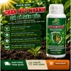 Phân Bón Chặn Đọt Nhanh 500ml - Già Lá Siêu Tốc, Kích Mầm Hoa, Ra Hoa Đồng Loạt, Giá 80k