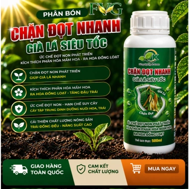 Phân Bón Chặn Đọt Nhanh 500ml - Già Lá Siêu Tốc, Kích Mầm Hoa, Ra Hoa Đồng Loạt, Giá 80k