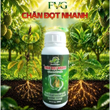 Phân Bón Chặn Đọt Nhanh 500ml - Già Lá Siêu Tốc, Kích Mầm Hoa, Ra Hoa Đồng Loạt, Giá 80k
