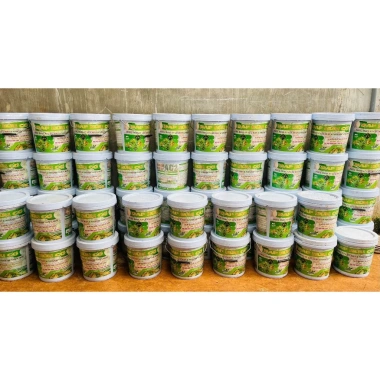 Phân bón DAP Hữu Cơ Minh Khôi - Phục hồi nhanh, rễ mạnh, chồi khỏe - Xô 10kg, Chai 1L - Giá chỉ 111.500₫ 9