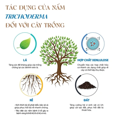 Phân bón hữu cơ 4 in 1 1kg - Gà nhật, bò, dê, than hoạt tính, bón rau hoa, 34.000₫