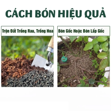 Phân bón hữu cơ cho cây ăn trái, bổ sung Trichoderma 1kg - Nuôi trái căng mọng, giảm còn 30.000 VND 3
