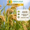 Phân bón lá HK NPK 7-5-44+TE GreenHome 40gr - Kích thích ra hoa đồng loạt, tăng đậu trái, giá 9.200 VND 2
