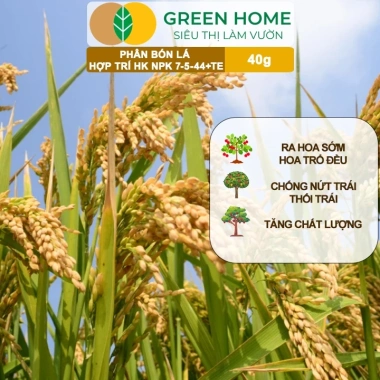 Phân bón lá HK NPK 7-5-44+TE GreenHome 40gr - Kích thích ra hoa đồng loạt, tăng đậu trái, giá 9.200 VND 2