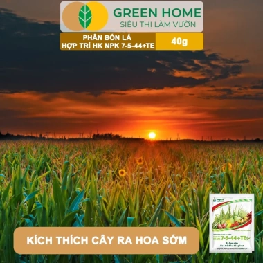 Phân bón lá HK NPK 7-5-44+TE GreenHome 40gr - Kích thích ra hoa đồng loạt, tăng đậu trái, giá 9.200 VND 4