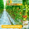 Phân bón lá HK NPK 7-5-44+TE GreenHome 40gr - Kích thích ra hoa đồng loạt, tăng đậu trái, giá 9.200 VND 5