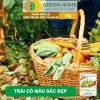 Phân bón lá HK NPK 7-5-44+TE GreenHome 40gr - Kích thích ra hoa đồng loạt, tăng đậu trái, giá 9.200 VND 6