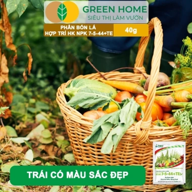 Phân bón lá HK NPK 7-5-44+TE GreenHome 40gr - Kích thích ra hoa đồng loạt, tăng đậu trái, giá 9.200 VND 6