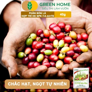 Phân bón lá HK NPK 7-5-44+TE GreenHome 40gr - Kích thích ra hoa đồng loạt, tăng đậu trái, giá 9.200 VND 7