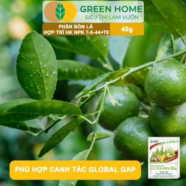 Phân bón lá HK NPK 7-5-44+TE GreenHome 40gr - Kích thích ra hoa đồng loạt, tăng đậu trái, giá 9.200 VND 8