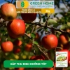 Phân bón lá HK NPK 7-5-44+TE GreenHome 40gr - Kích thích ra hoa đồng loạt, tăng đậu trái, giá 9.200 VND 9