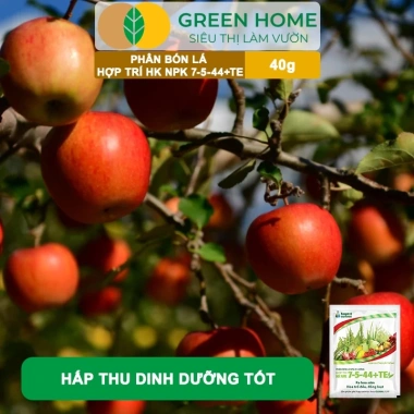 Phân bón lá HK NPK 7-5-44+TE GreenHome 40gr - Kích thích ra hoa đồng loạt, tăng đậu trái, giá 9.200 VND 9