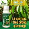 Phân bón lá Magie Kẽm 500ml - Lá xanh dày, tăng đậu trái, kích thích quang hợp mạnh, giá 135.720 VND 2