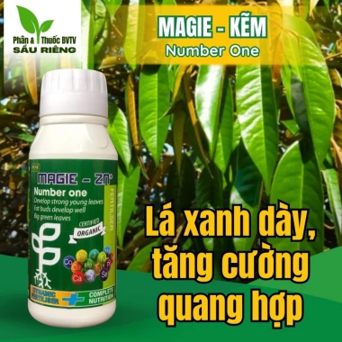 Phân bón lá Magie Kẽm 500ml - Lá xanh dày, tăng đậu trái, kích thích quang hợp mạnh, giá 135.720 VND
