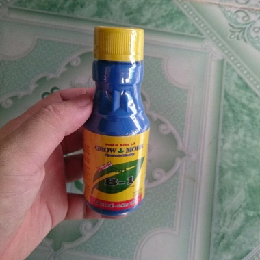 Phân Bón Lá Vitamin B1 Growmore Hoa Kỳ 100ml - Giảm giá 35.000, chỉ 42.350