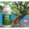 Phân Bón Mai Vàng 250ml Phục Hồi Cây Suy Tăng Sinh Trưởng, Giá Ưu Đãi 65.000₫