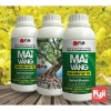 Phân Bón Mai Vàng 250ml Phục Hồi Cây Suy Tăng Sinh Trưởng, Giá Ưu Đãi 65.000₫ 2