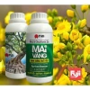 Phân Bón Mai Vàng 250ml Phục Hồi Cây Suy Tăng Sinh Trưởng, Giá Ưu Đãi 65.000₫ 4