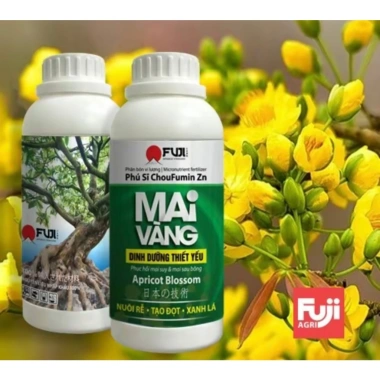Phân Bón Mai Vàng 250ml Phục Hồi Cây Suy Tăng Sinh Trưởng, Giá Ưu Đãi 65.000₫ 4 Phân Bón Mai Vàng 250ml Phục Hồi Cây Suy Tăng Sinh Trưởng, Giá Ưu Đãi 65.000₫ 4