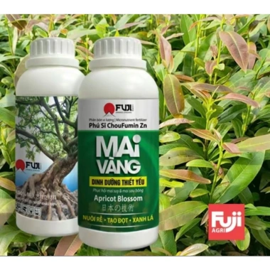 Phân Bón Mai Vàng 250ml Phục Hồi Cây Suy Tăng Sinh Trưởng, Giá Ưu Đãi 65.000₫