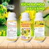 Phân bón tạo nụ, kích hoa mai 10.60.10 TE + MAP12.61.0 MKP0.52.34 500ml – 69.000₫