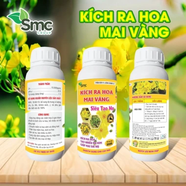 Phân bón tạo nụ, kích hoa mai 10.60.10 TE + MAP12.61.0 MKP0.52.34 500ml – 69.000₫