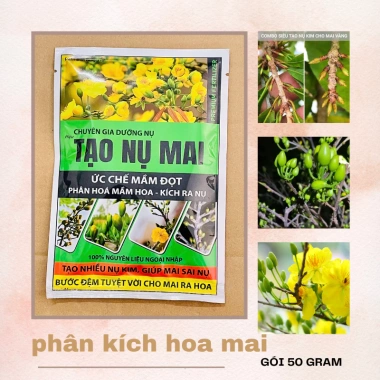 Phân bón Tạo Nụ Mai 50gr - Ức chế đọt non, phân hóa mầm hoa, kích nụ, hoa bền đẹp
