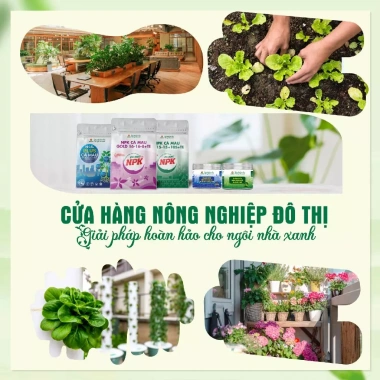 Phân đạm N46.PLUS Cà Mau giảm 18% - Bón cây xanh tốt, tăng năng suất vụ mùa 5 Phân đạm N46.PLUS Cà Mau giảm 18% - Bón cây xanh tốt, tăng năng suất vụ mùa 5