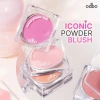 Phấn má hồng mịn lì Odbo Iconic Powder Blush OD1.325 - Chuẩn màu, giá chỉ 95.000đ 5
