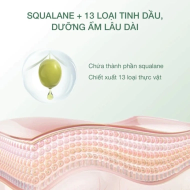 Phấn phủ kiềm dầu Perfect Diary 7g Rosslyn - Nắp bạc, giữ nền lâu, chỉ 225k 7