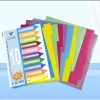 Phân trang nhựa A4 10 số, 12 số, 24 chữ cái, 31 số - Giá ưu đãi 18.000đ 7