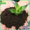 Phân Trùng Quế LAVAMIX 2kg - Phân bón hữu cơ sàng lọc tạp chất, chỉ 45.000₫ 7