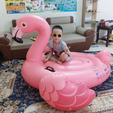 Phao bơi khổng lồ người lớn - Hồng hạc, Ngựa thần, Tiên cá - Giá ưu đãi 289.000 VND, an toàn, thiết kế sinh động
