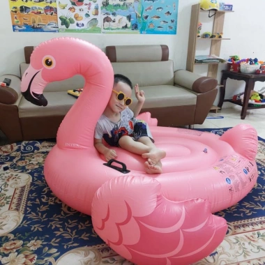 Phao bơi khổng lồ người lớn - Hồng hạc, Ngựa thần, Tiên cá - Giá ưu đãi 289.000 VND, an toàn, thiết kế sinh động