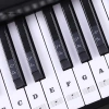 Phím Đàn Piano Điện Tử SPM 37-88 - Bàn Phím PVC Trong Suốt, Miếng Dán Trang Trí, Giá 92.369₫ 2