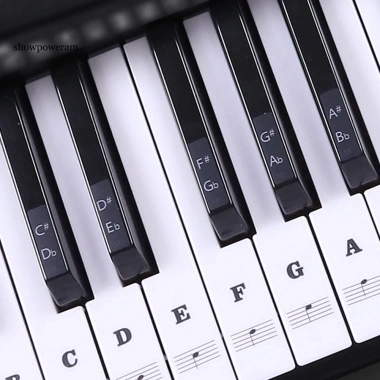 Phím Đàn Piano Điện Tử SPM 37-88 - Bàn Phím PVC Trong Suốt, Miếng Dán Trang Trí, Giá 92.369₫ 2