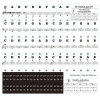 Phím Đàn Piano Điện Tử SPM 37-88 - Bàn Phím PVC Trong Suốt, Miếng Dán Trang Trí, Giá 92.369₫ 3