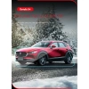 Phim Dán Trong Suốt Bảo Vệ Bảng Điều Khiển Mazda CX-30 – Giá chỉ 120.999đ 9
