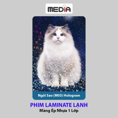 Phim laminate lạnh bề mặt ngôi sao dạ quang 21.5x32cm Halogram 7 màu Giá 55.000 10