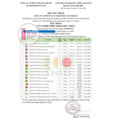 Phô mai tươi trái cây QBB Nhật Bản cho bé - giảm giá đặc biệt 109.900đ