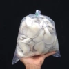 Phôi nấm giống Bào ngư & Linh chi - Bộ 9+9, giá 269.000₫, trồng nhanh, thu hoạch cao 3