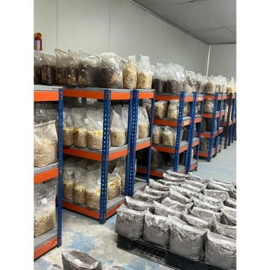 Phôi nấm linh chi sừng hươu 1-2kg/2.5kg - Giống nhung hươu 3C Farm, chỉ 40.000₫ 5 Phôi nấm linh chi sừng hươu 1-2kg/2.5kg - Giống nhung hươu 3C Farm, chỉ 40.000₫ 5